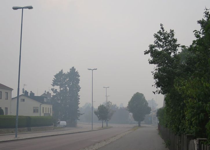bild4.jpg