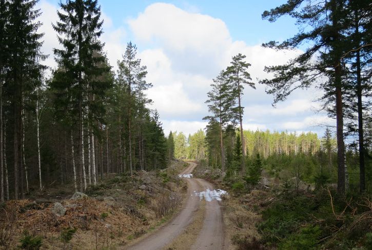 bild4.jpg