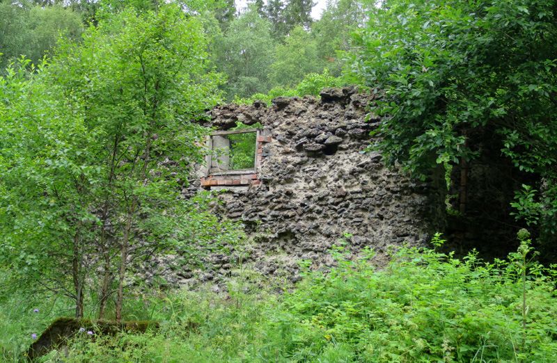 bild4.jpg