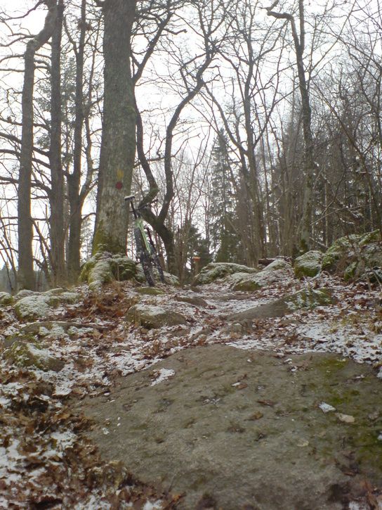 bild44.JPG ht=725