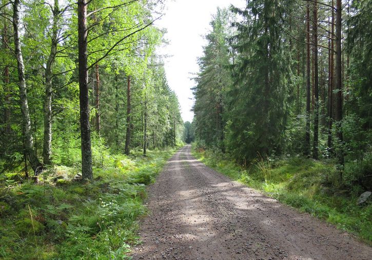 bild5.jpg