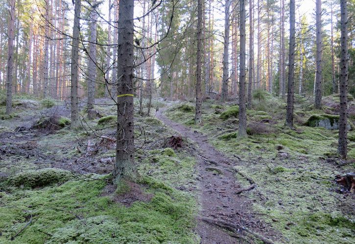 bild5.jpg