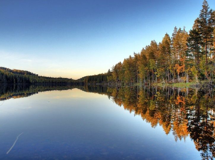 bild5.jpg ht=539