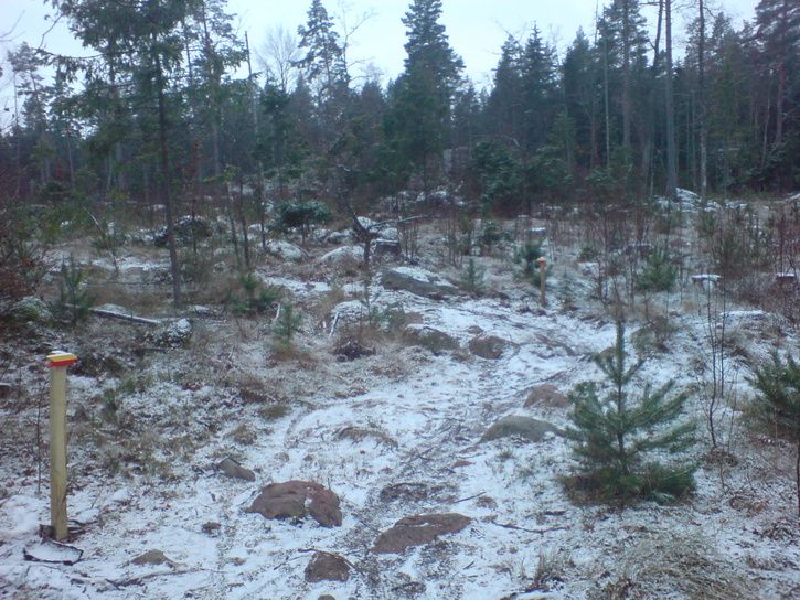 bild5.JPG ht=544
