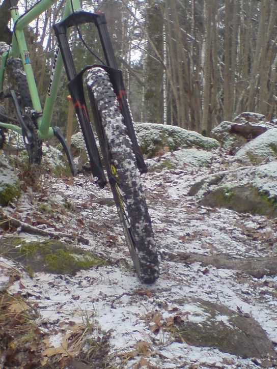 bild55.JPG ht=725