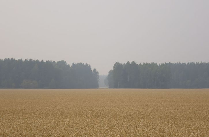 bild7.jpg