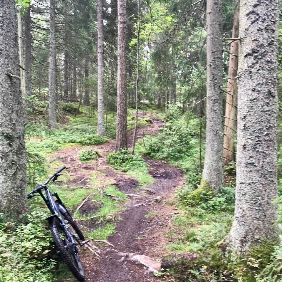 billingen.jpg