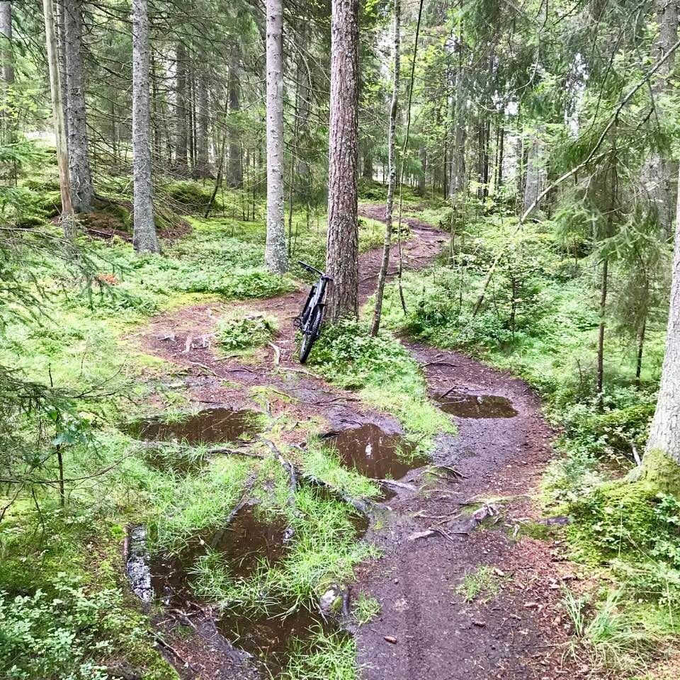 billingen.jpg