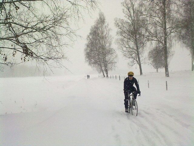 BjrniErstasn101219.jpg ht=480