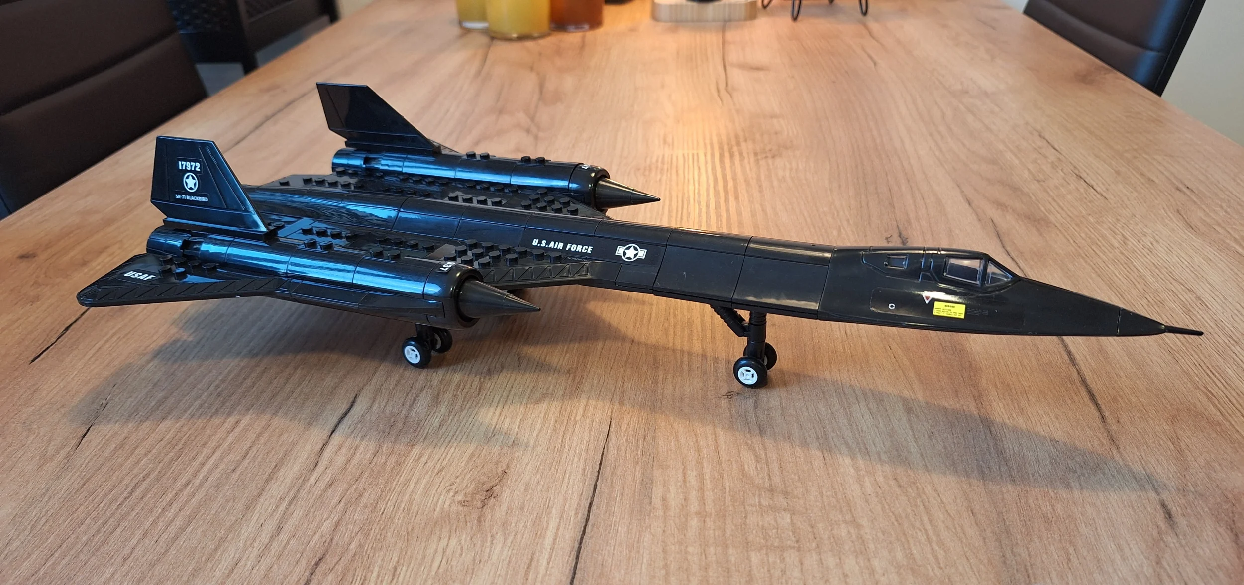 Blackbird 1.webp