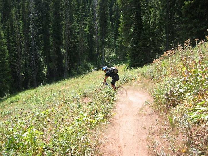 BlackCanyon12.jpg ht=544