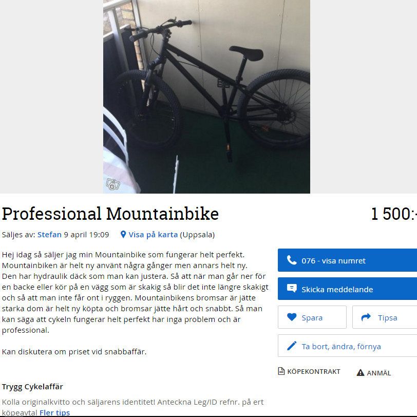 blocket_professional.jpg