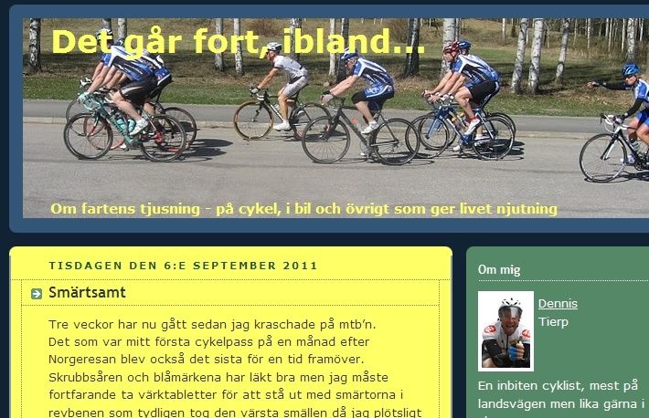 blogghuvud.jpg