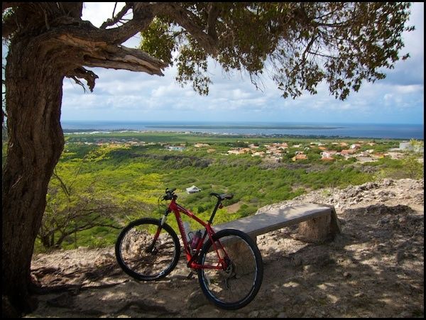 bonaire10.jpg