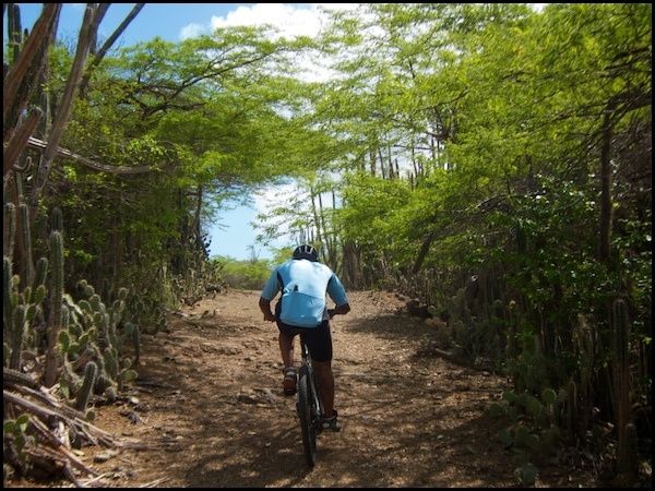 bonaire15.jpg