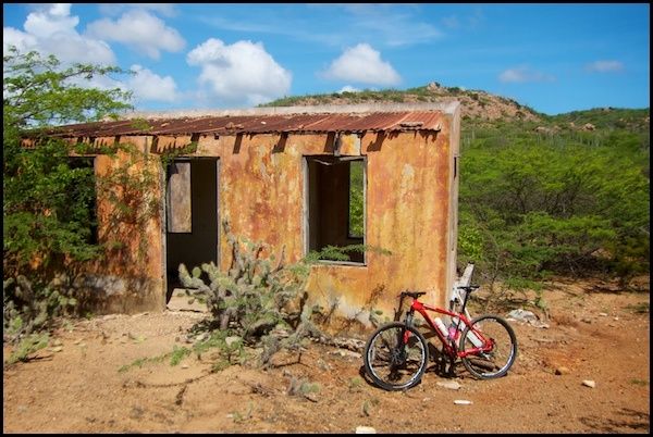 bonaire17.jpg