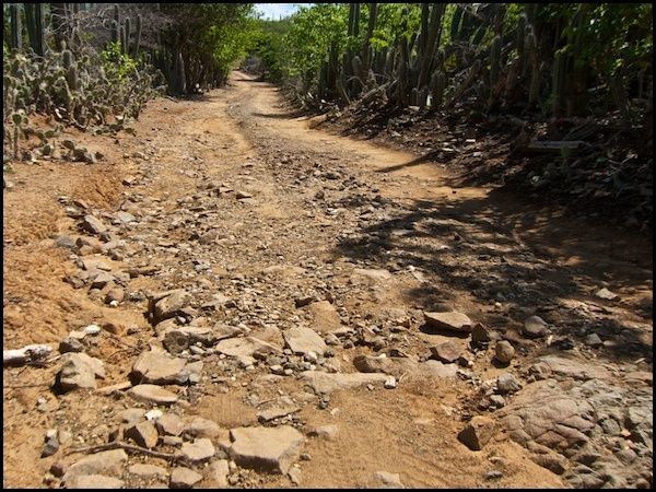 bonaire20.jpg
