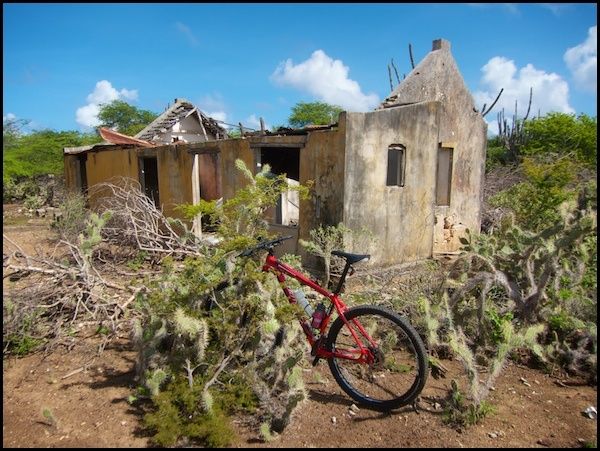 bonaire7.jpg