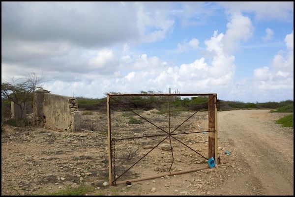 bonaire8.jpg