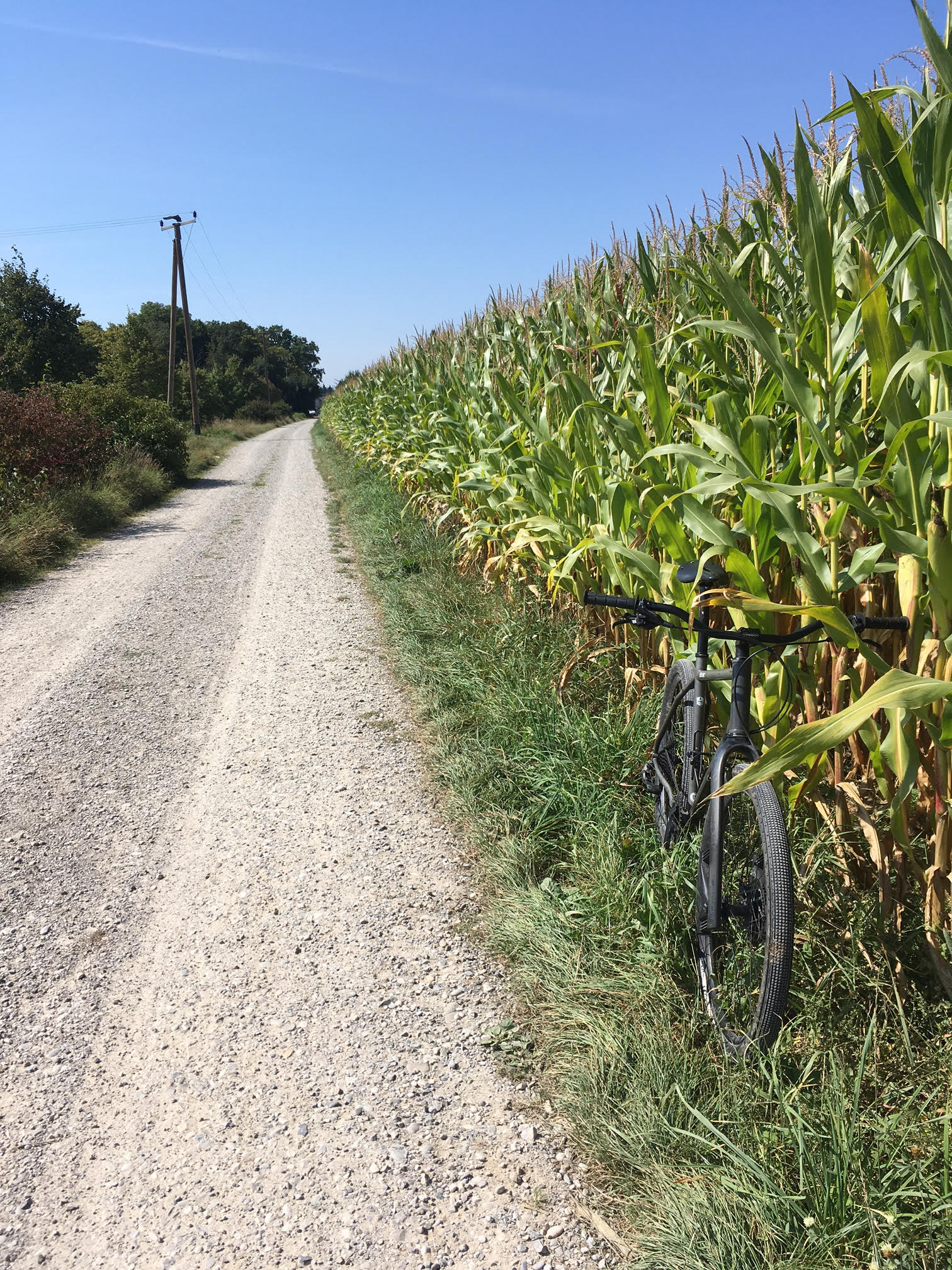 Bonicon-Bootzipper-8.9.21-CornField.jpeg