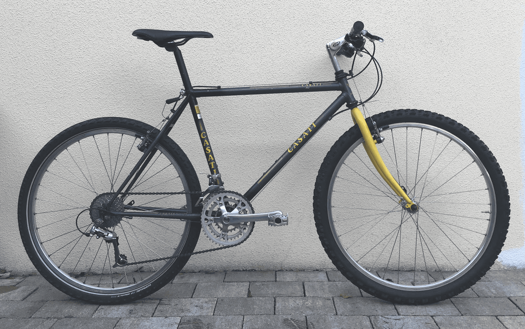 Bonicon-Casati-CleanUp-11.11..2021.png