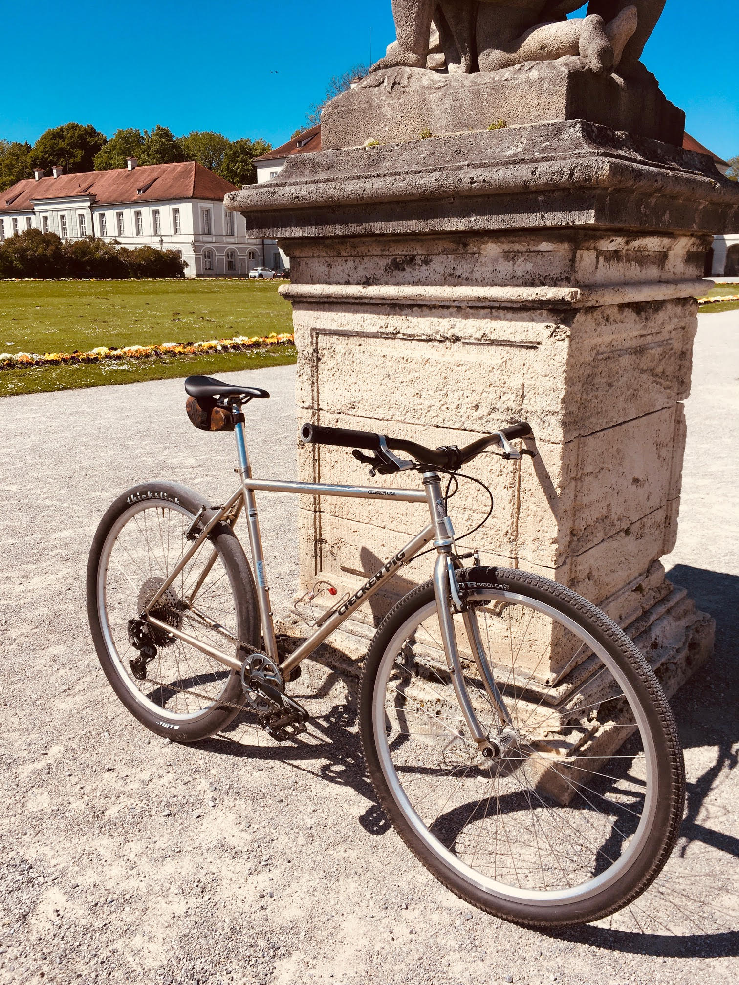 Bonicon-CheckerPig-01.06.21-1.jpeg
