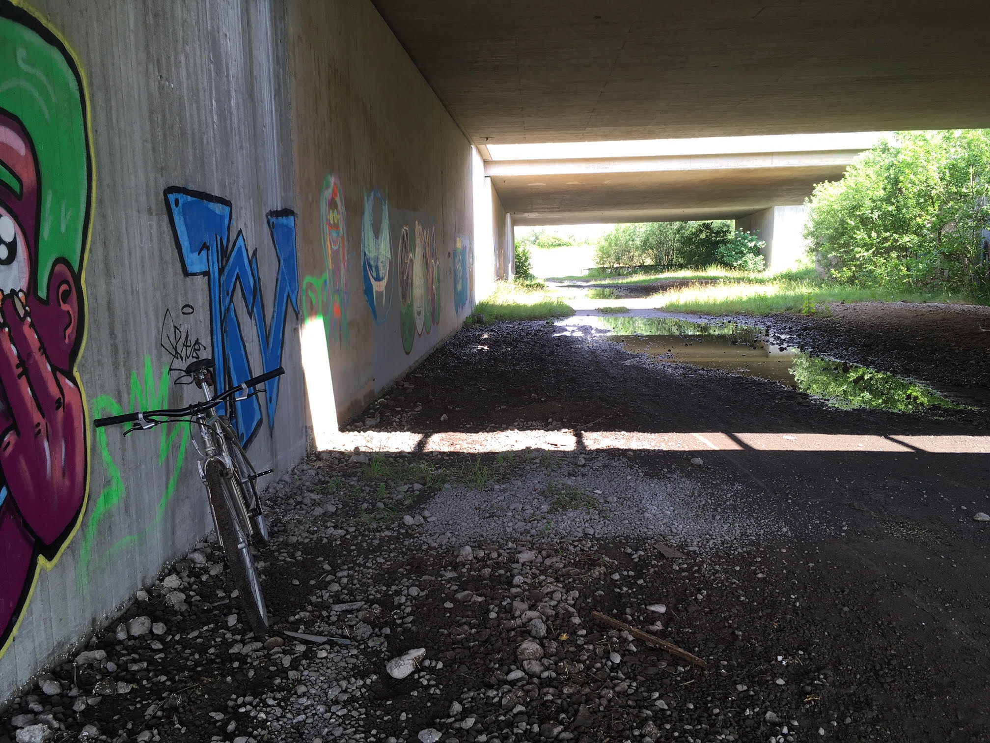 Bonicon-CheckerPig-23.06.21-Tunnel.jpeg