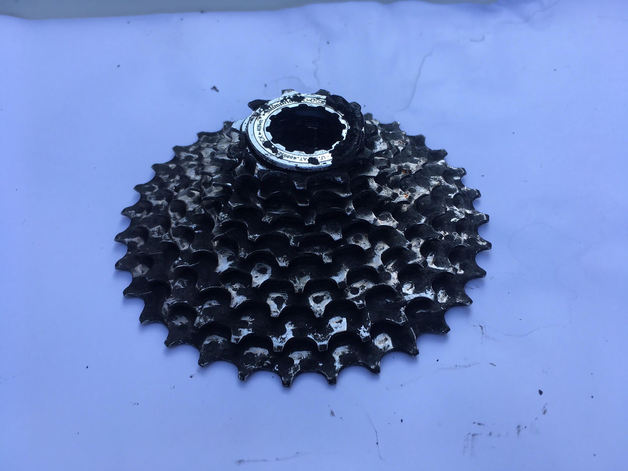 Bonicon-Trek950-13.8.21-CS-HG70-9-filthy.jpeg