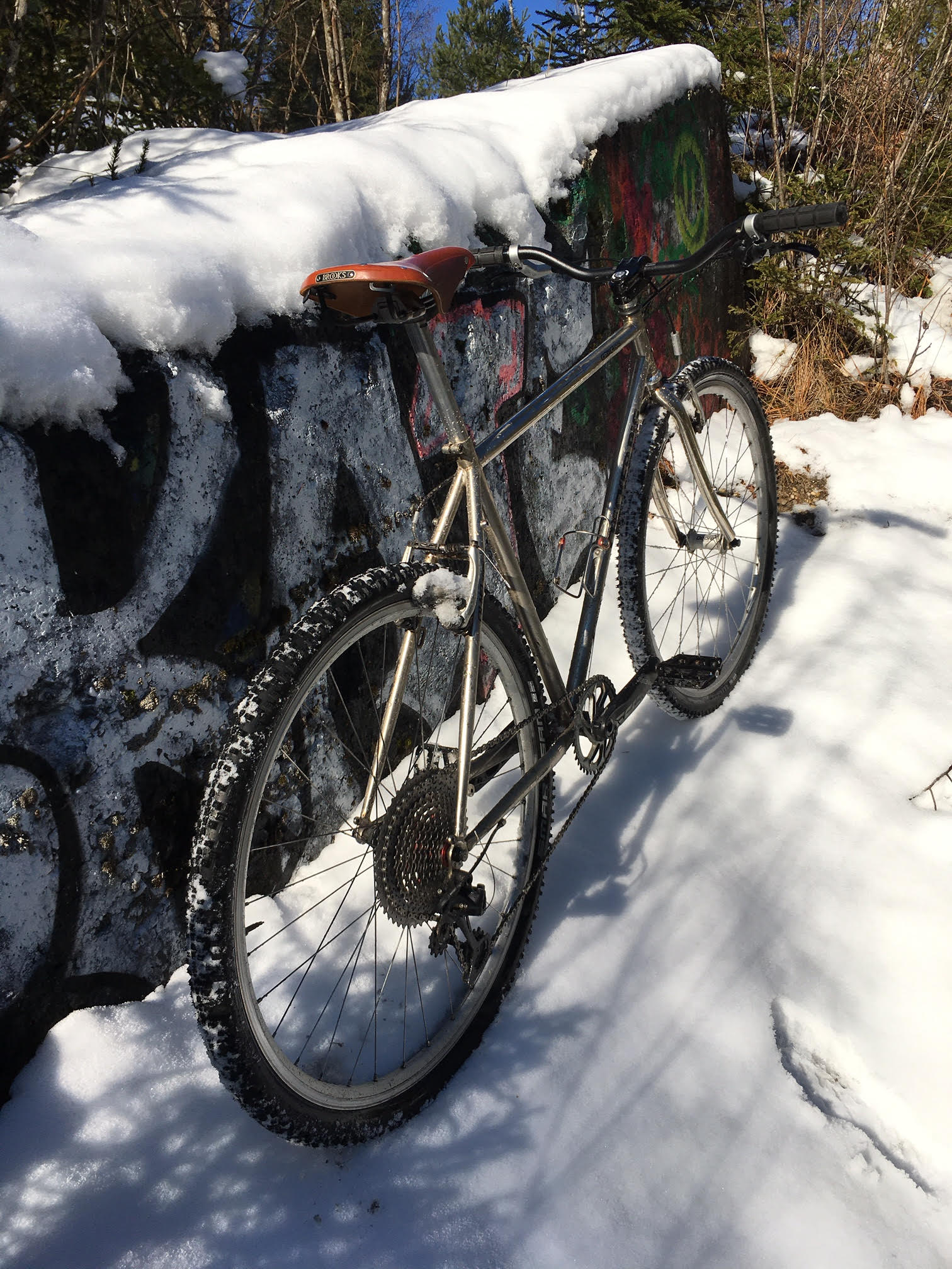 Bonicon_CheckerPig_12.12.21_SnowShredding-15.jpeg