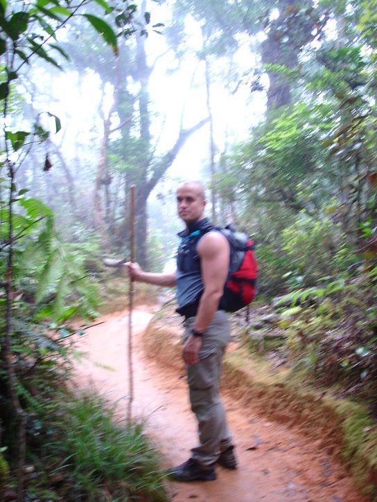 Borneo281.jpg ht=725