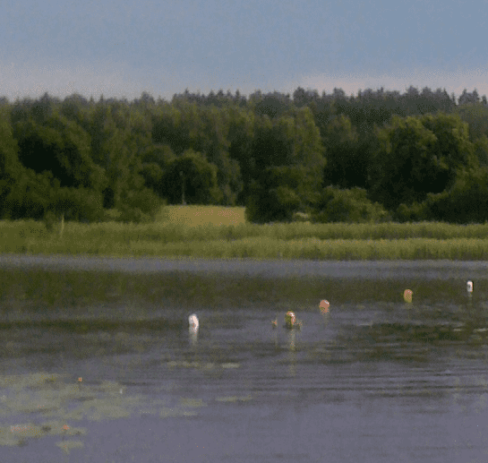 bottenkontakt.png ht=517