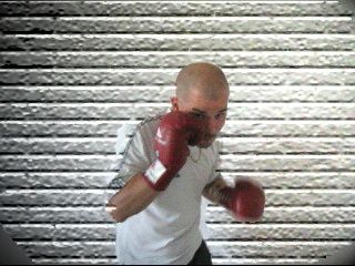 boxer.jpg ht=240