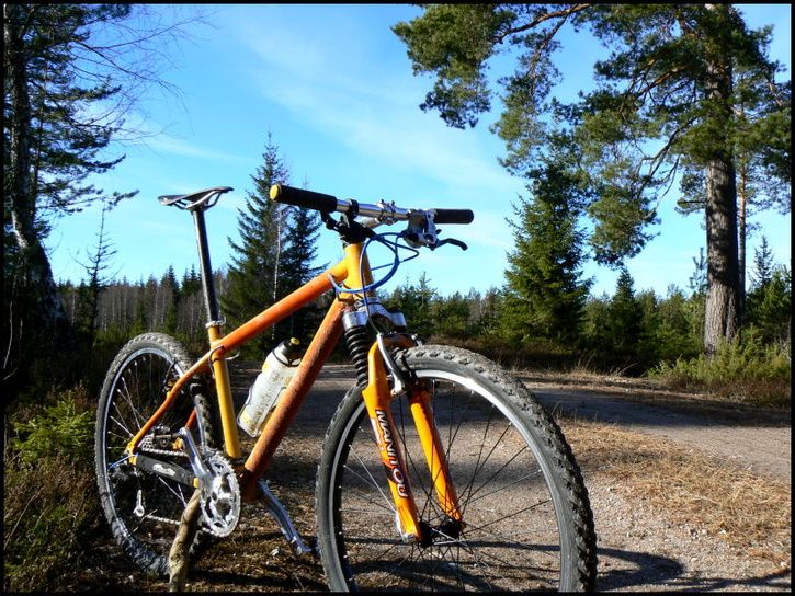 BrandKlein45.jpg ht=544