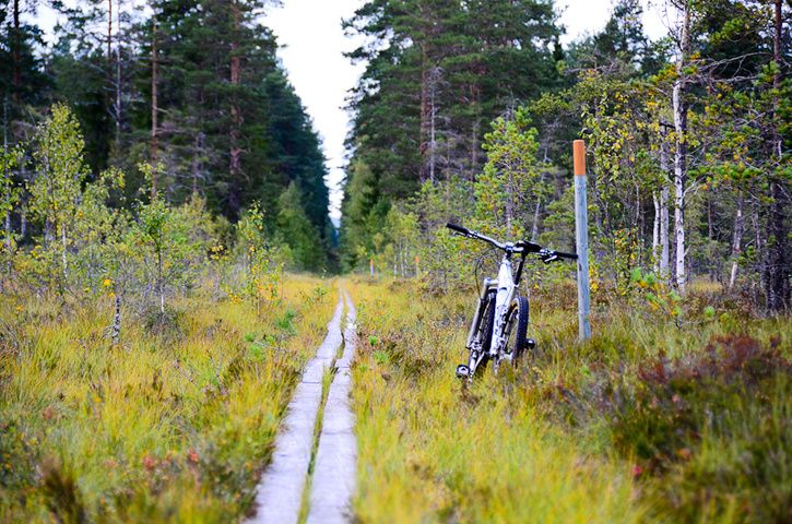 brattfors008.jpg