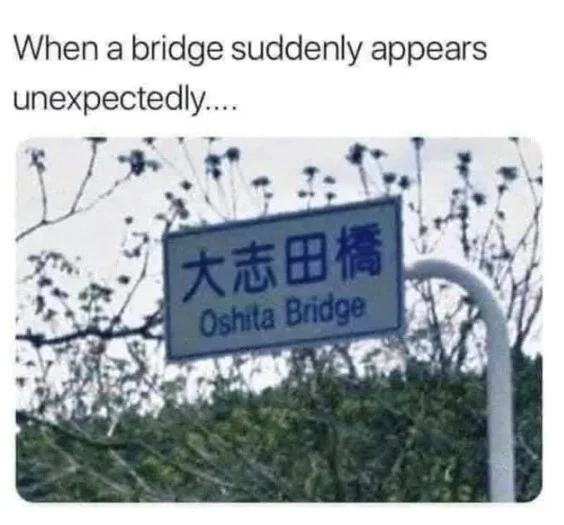 bridge.webp