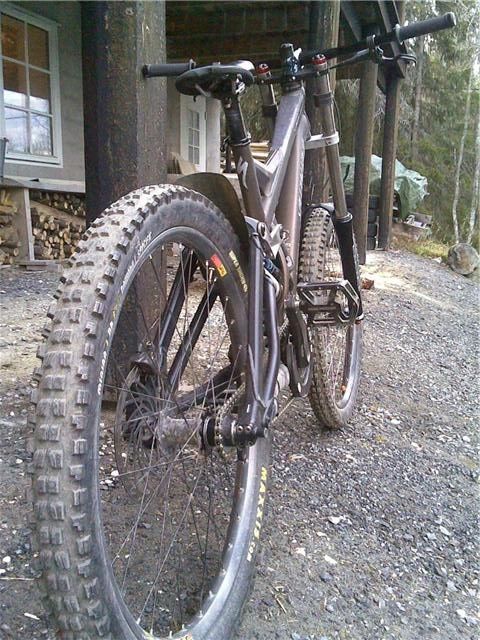 BrunaFaranII.jpg ht=640