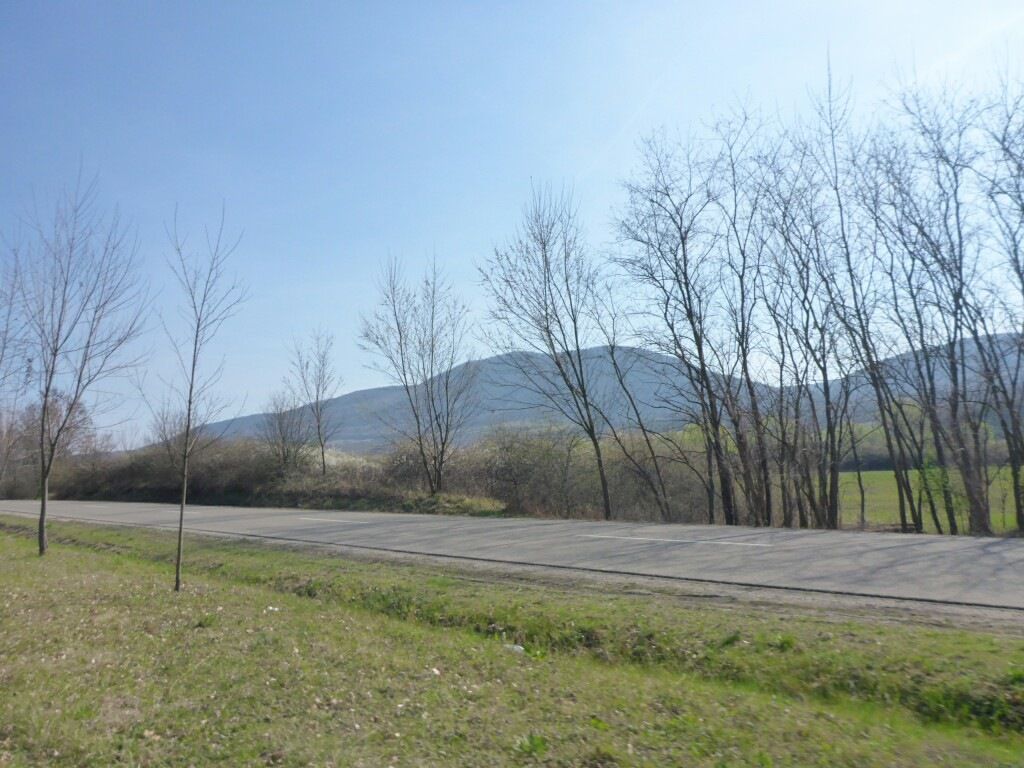 Bukk.JPG