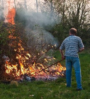 BurningYardWaste.jpg
