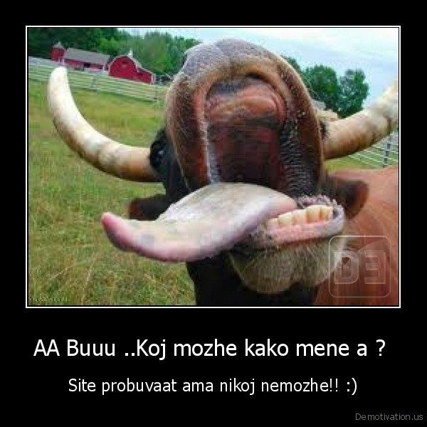 Buuu.jpg