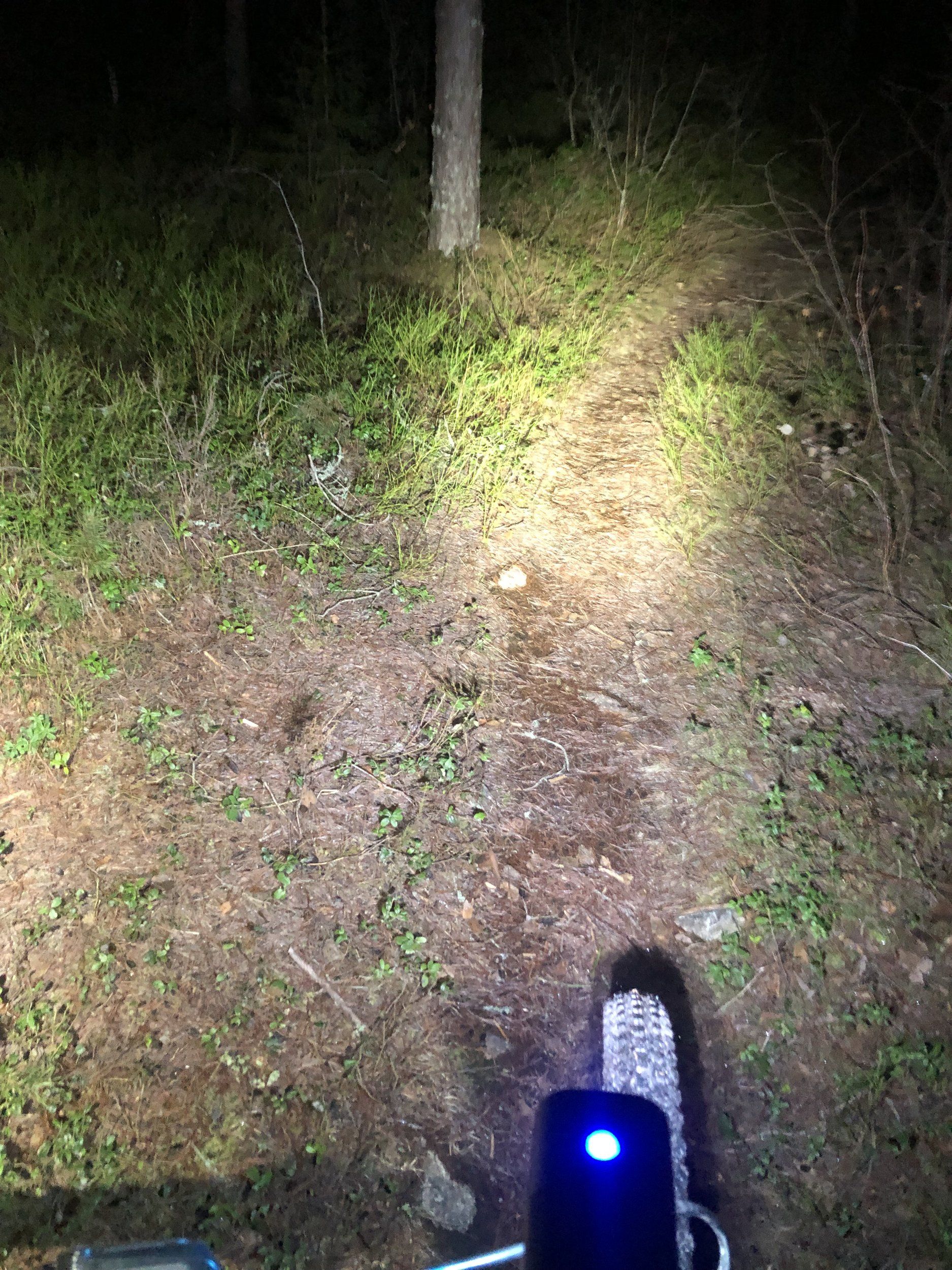 C028B5BF-F084-476E-8273-A02A5B5B7220.jpeg