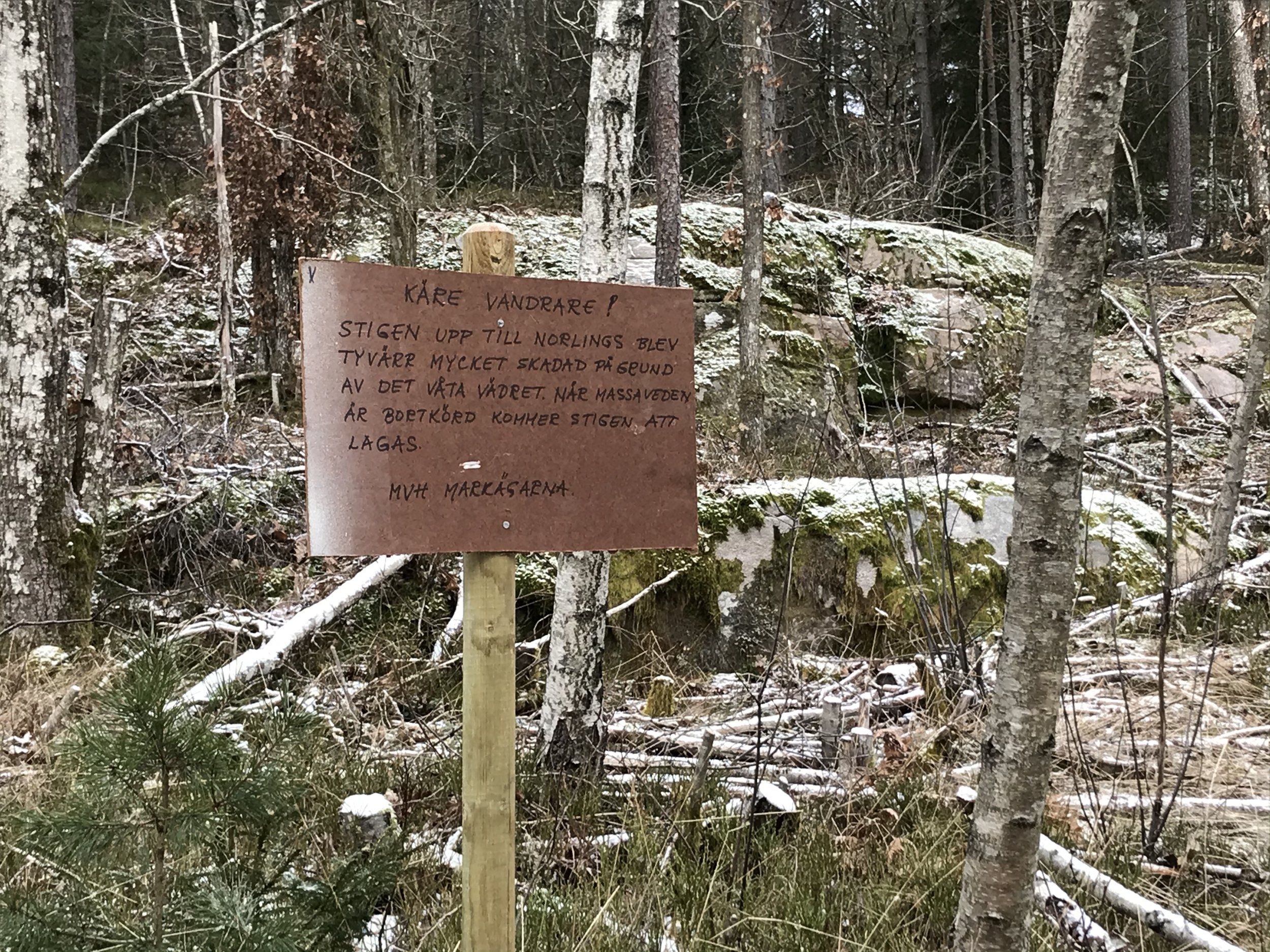 C0569270-CA17-4FA8-BCD5-378E88B81023.jpeg