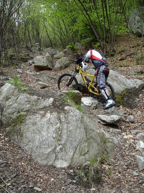 c06rockgarden.JPG ht=615