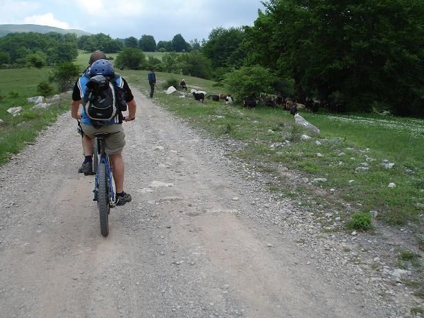 C06uppOrlin.JPG ht=461