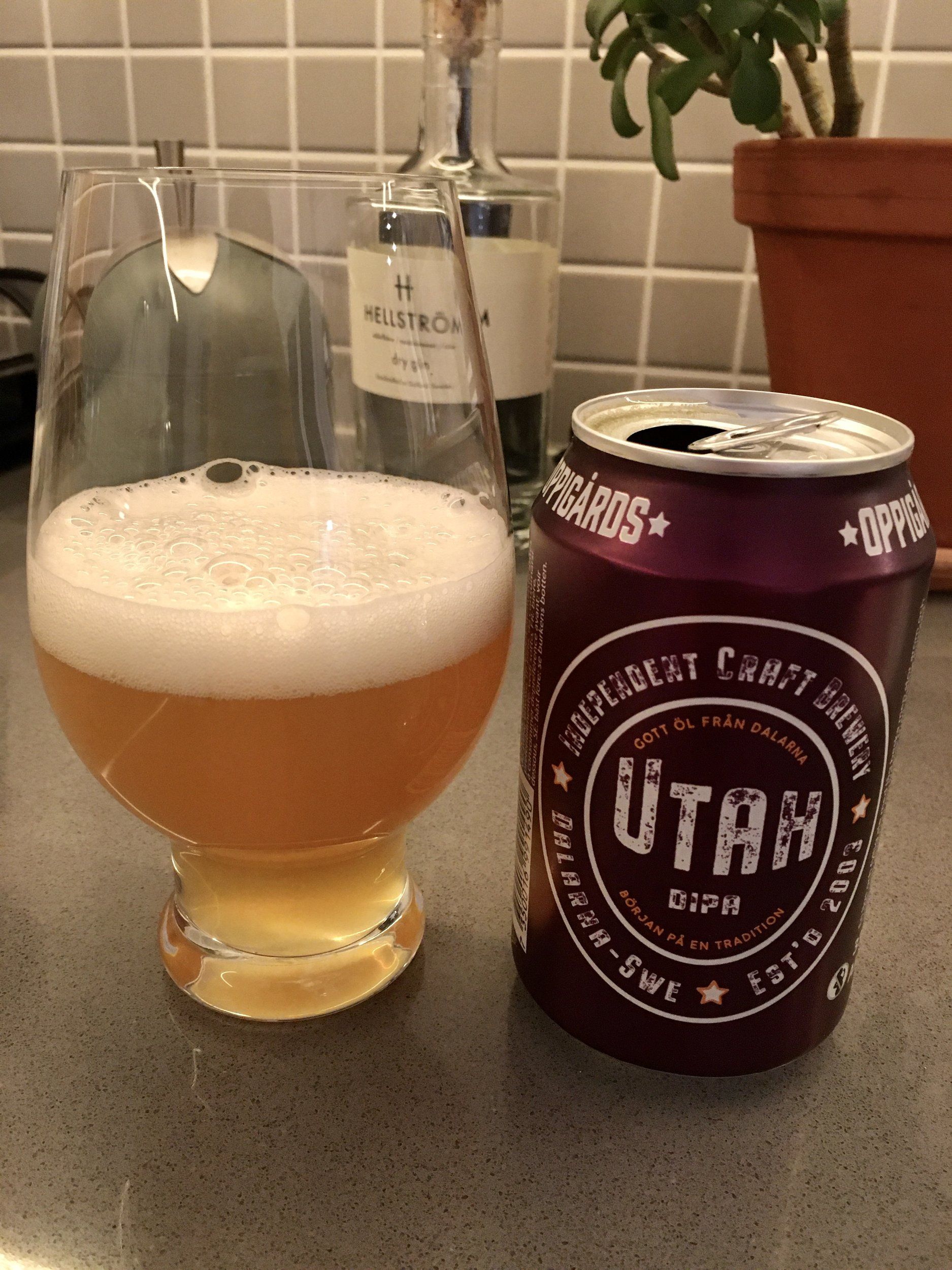 C070769C-31A6-412F-944F-84E833723CA9.jpeg