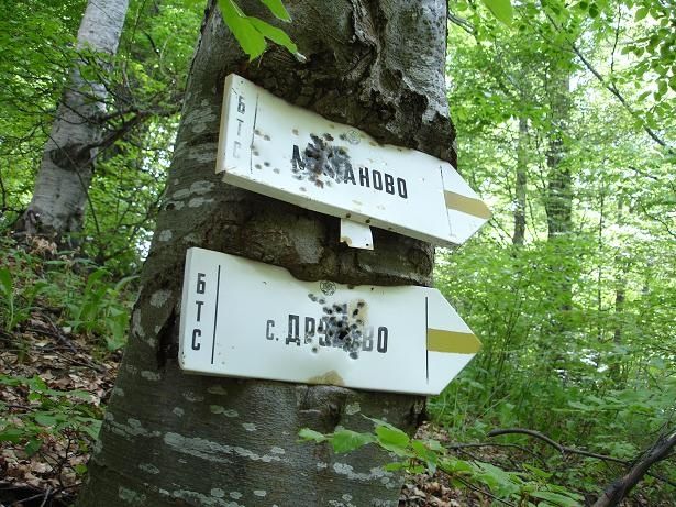 C09skyltar.JPG ht=461