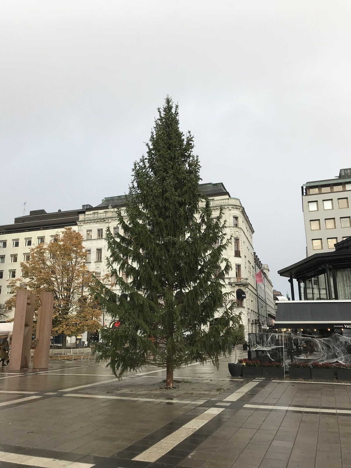 C0C0ADFF-6007-483F-ABC6-4A4D4B258D61.jpeg