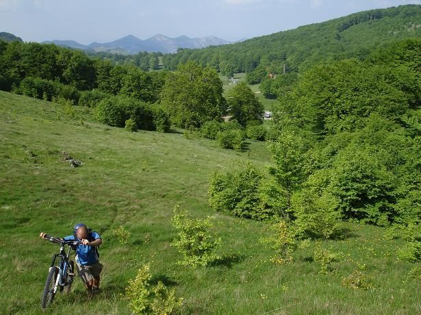 C13Orlinpushing.JPG ht=461