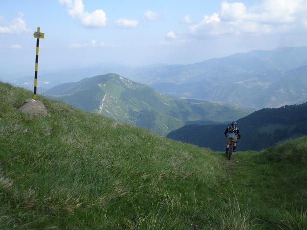 C17droppinin.JPG ht=461