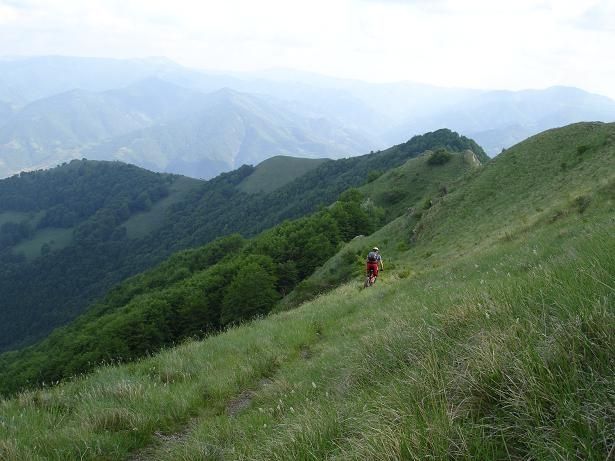 C18nersigge.JPG ht=461