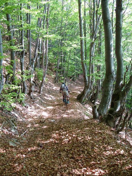 C19nerDobrian.JPG ht=615